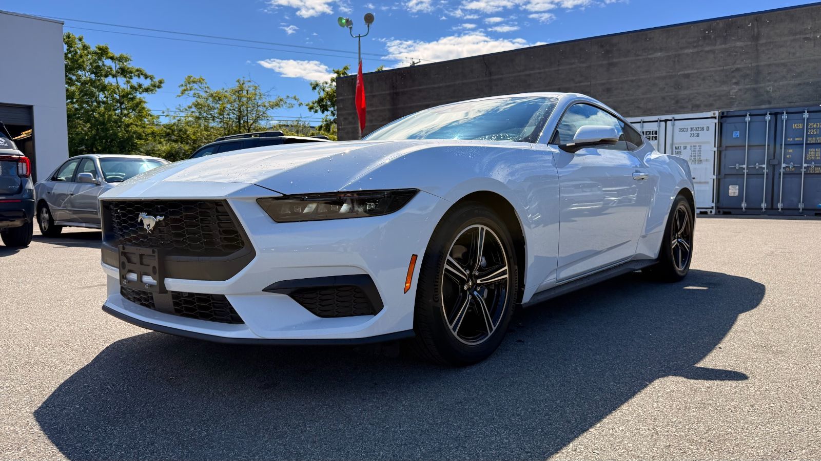 2019 Ford Mustang Ecoboost