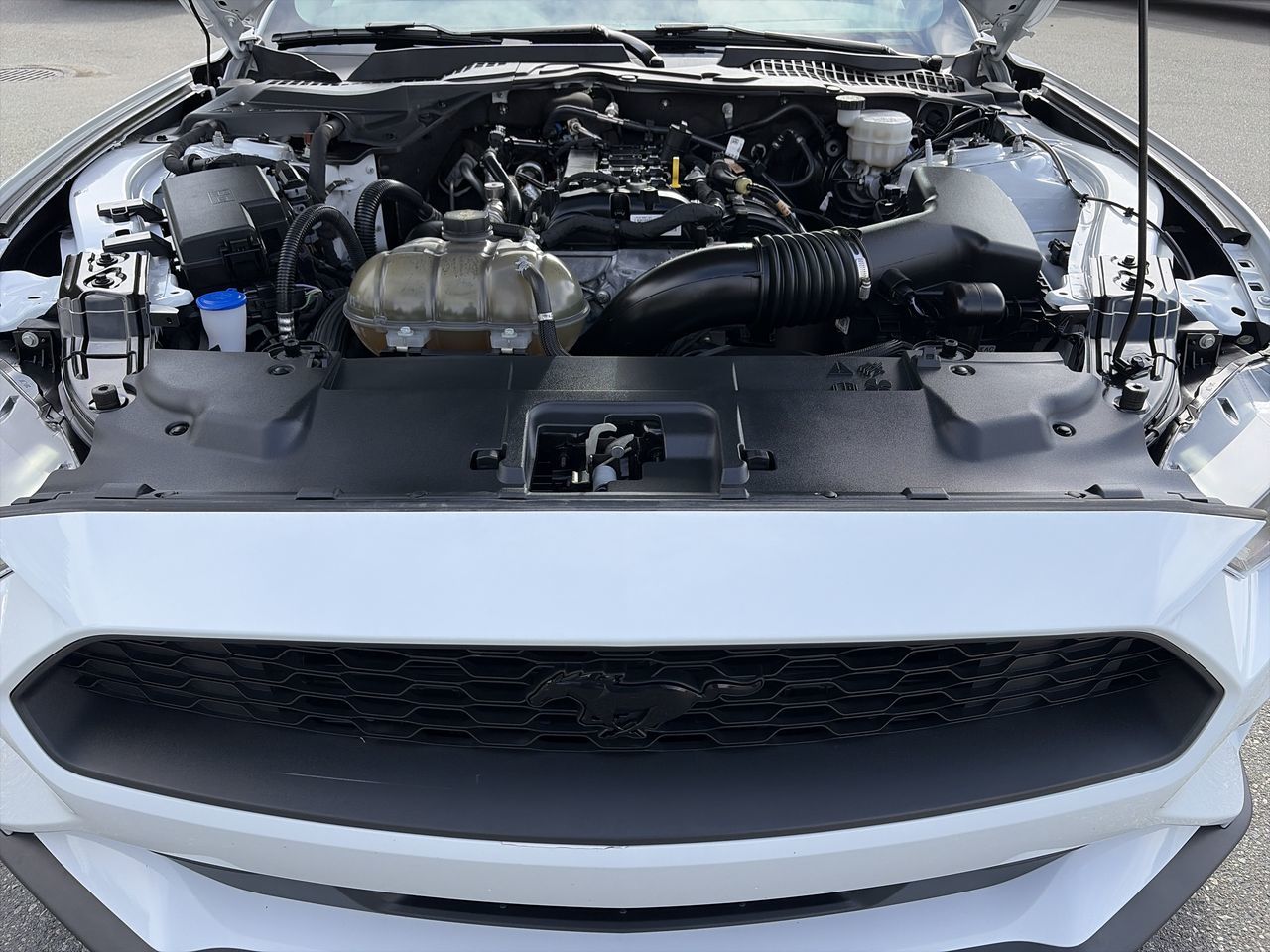 2022 Ford Mustang