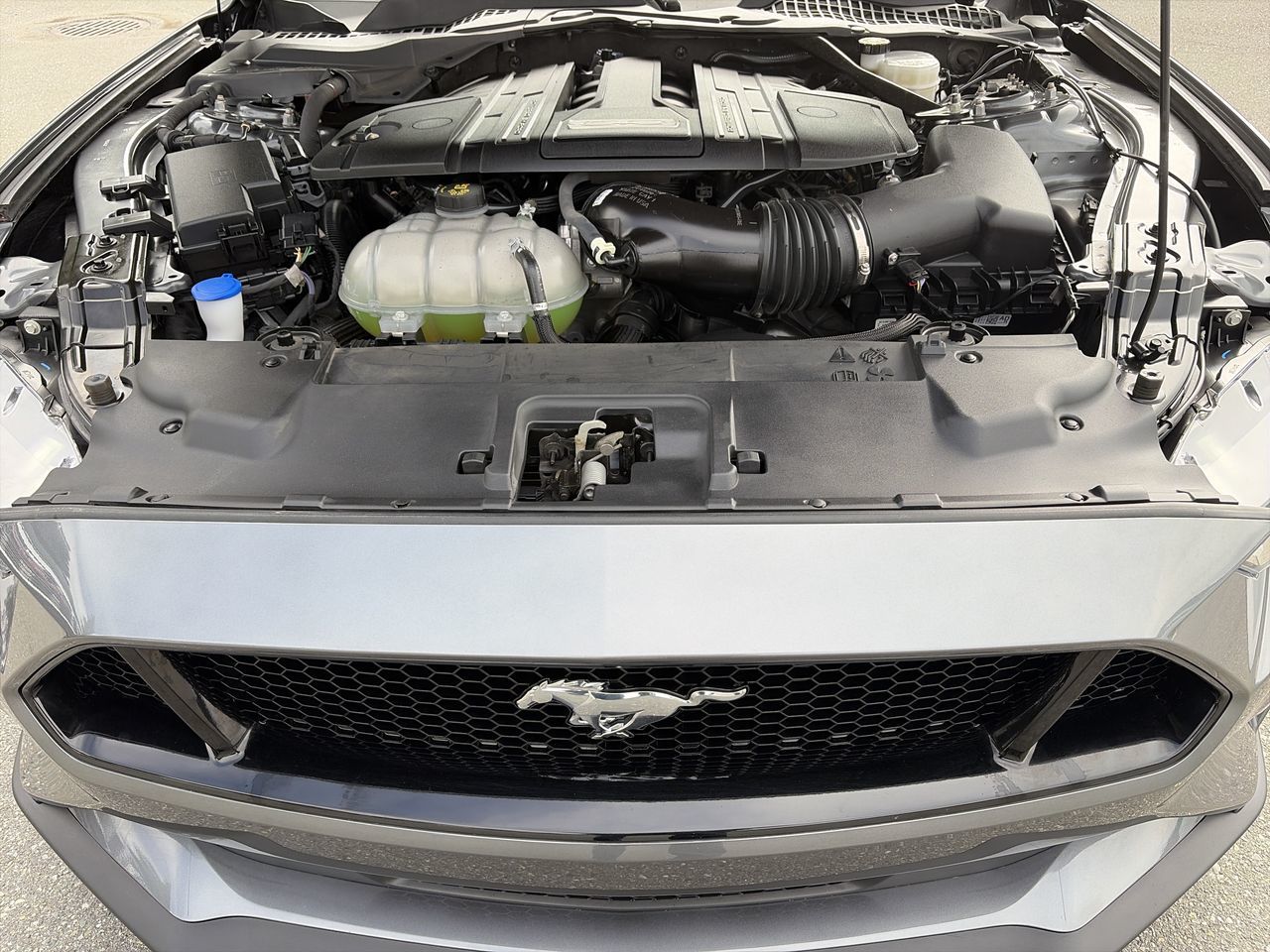 2023 Ford Mustang