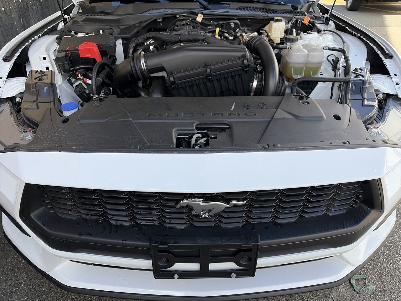 2025 Ford Mustang