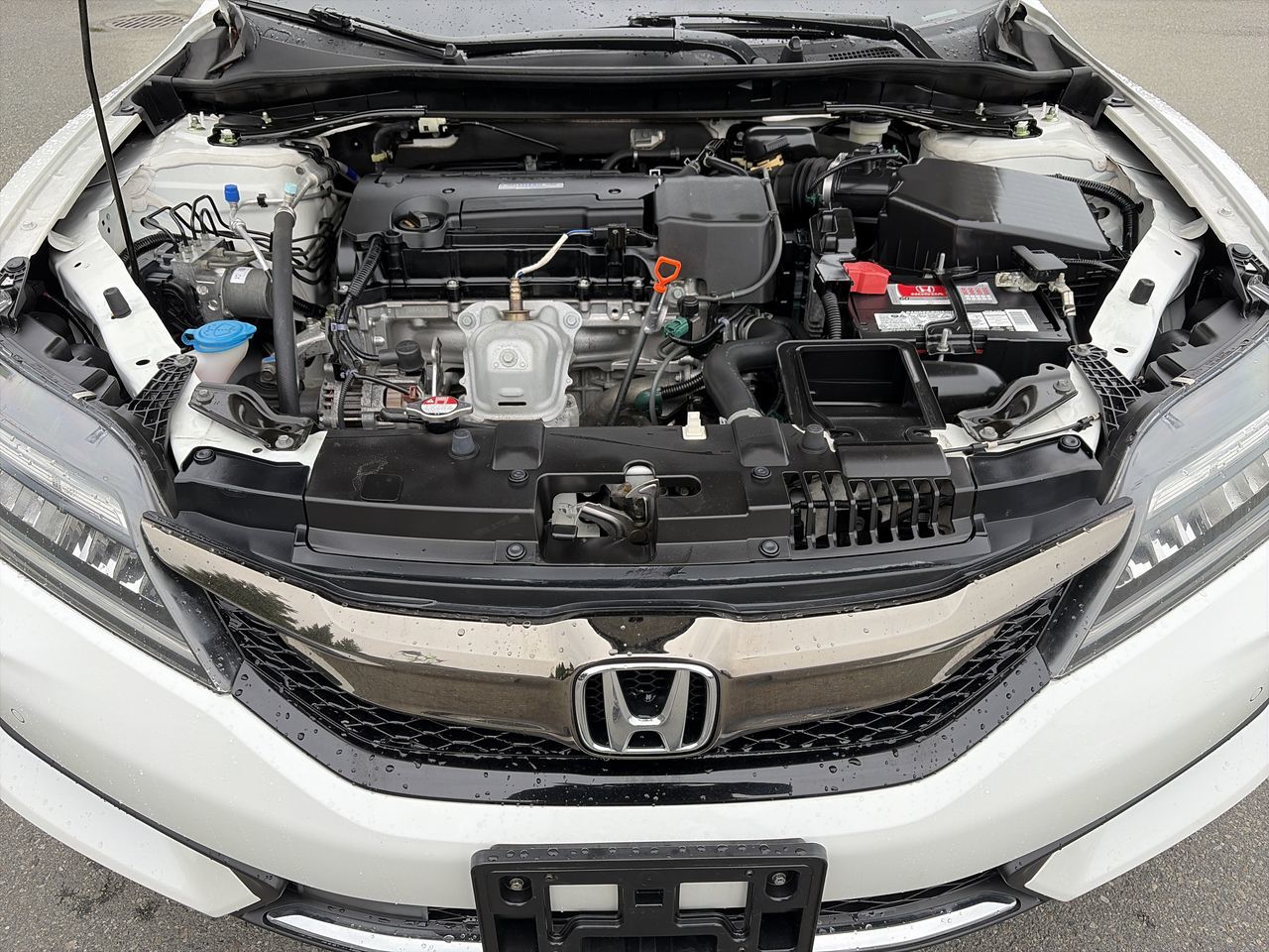 2017  Accord