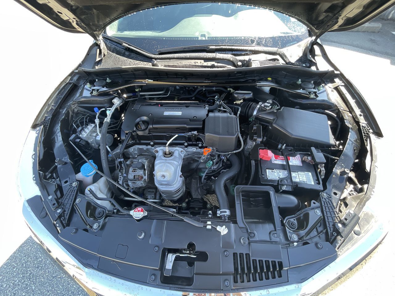 2017  Accord