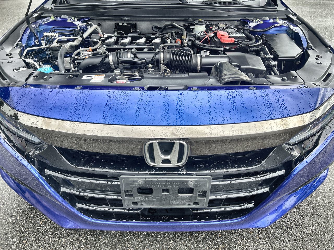 2019 Honda Accord