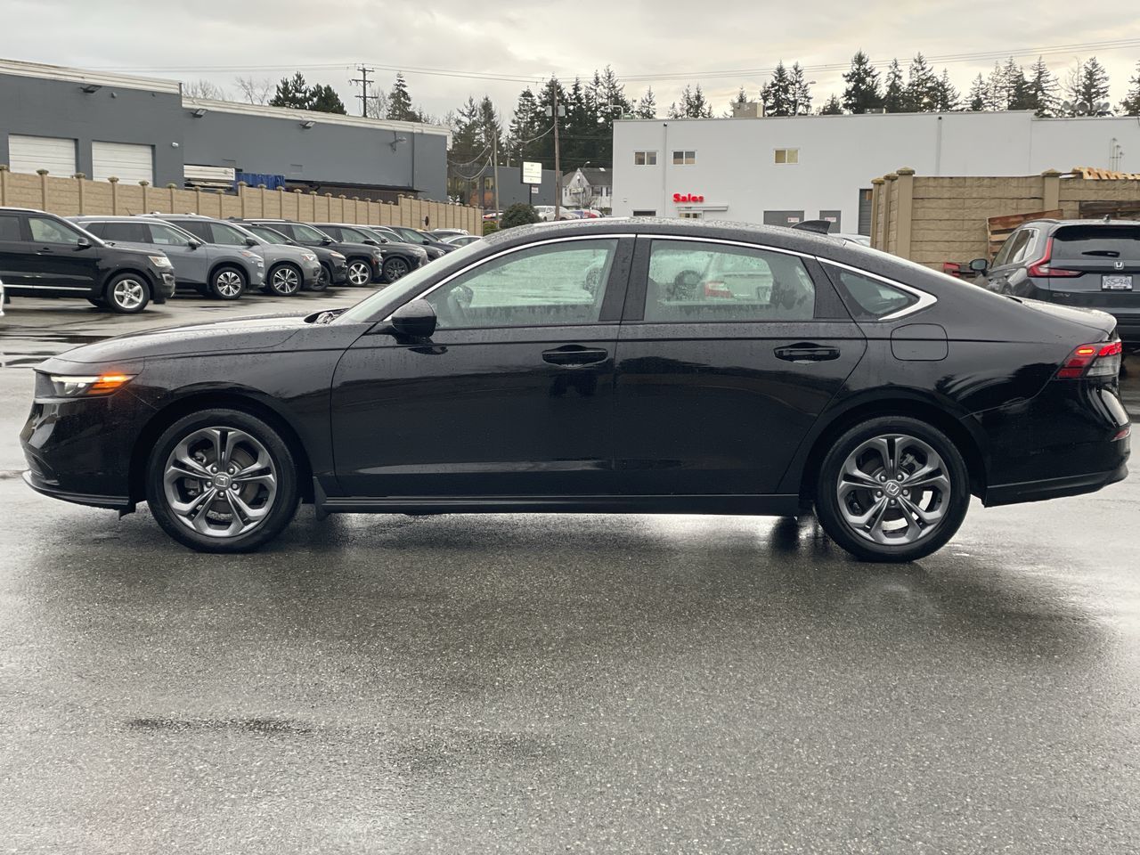 2024 Honda Accord in Surrey, British Columbia