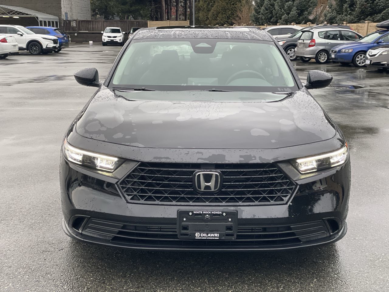 2024 Honda Accord in Surrey, British Columbia