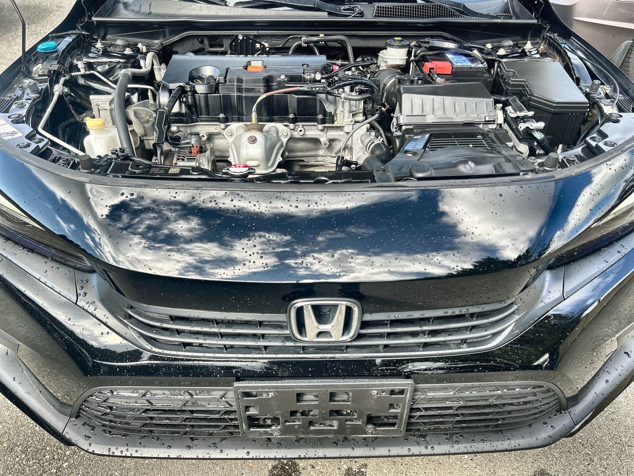 Honda Civic  2022 à Surrey, Colombie-Britannique