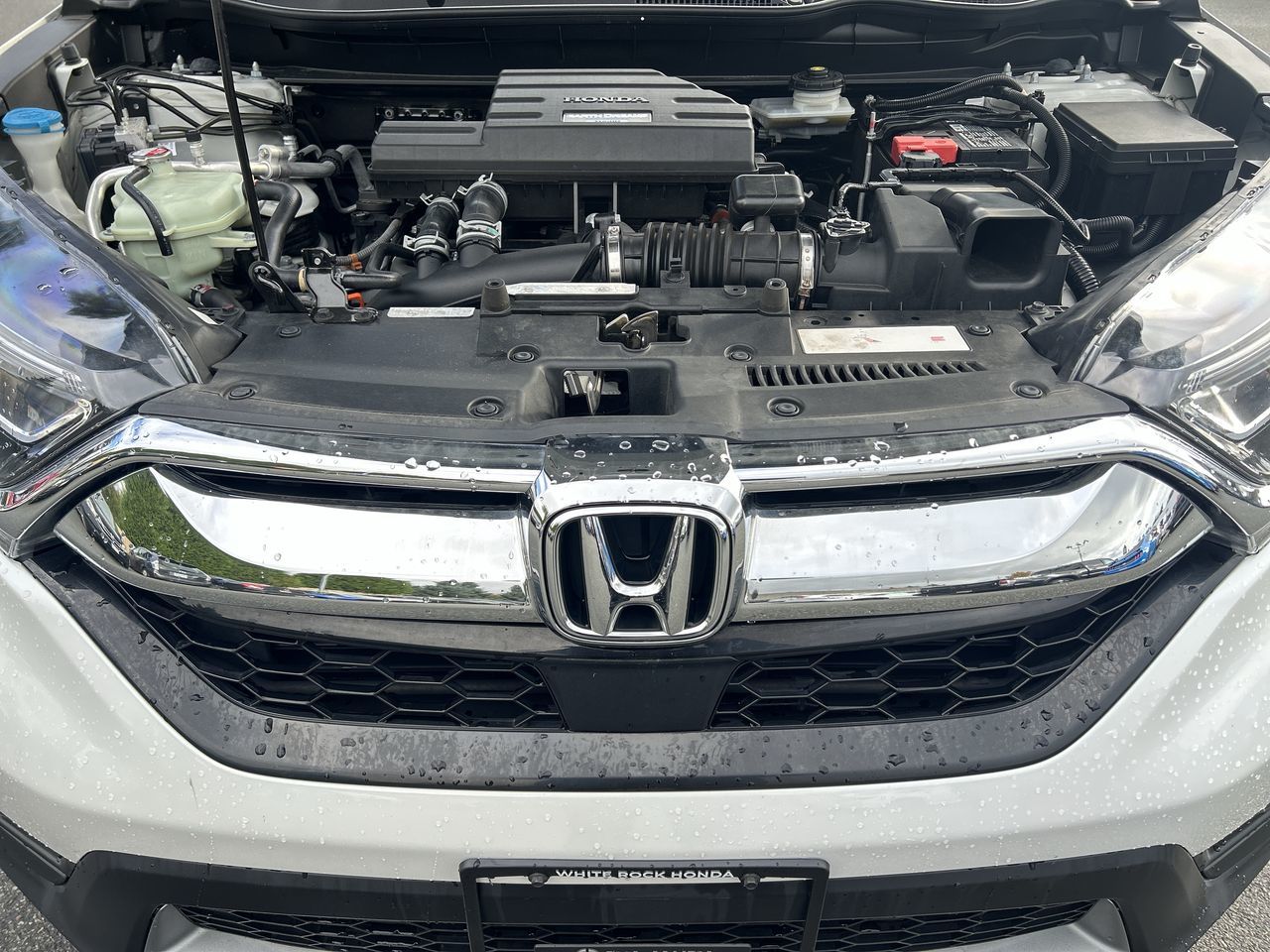 Honda CR-V  2019 à Surrey, Colombie-Britannique