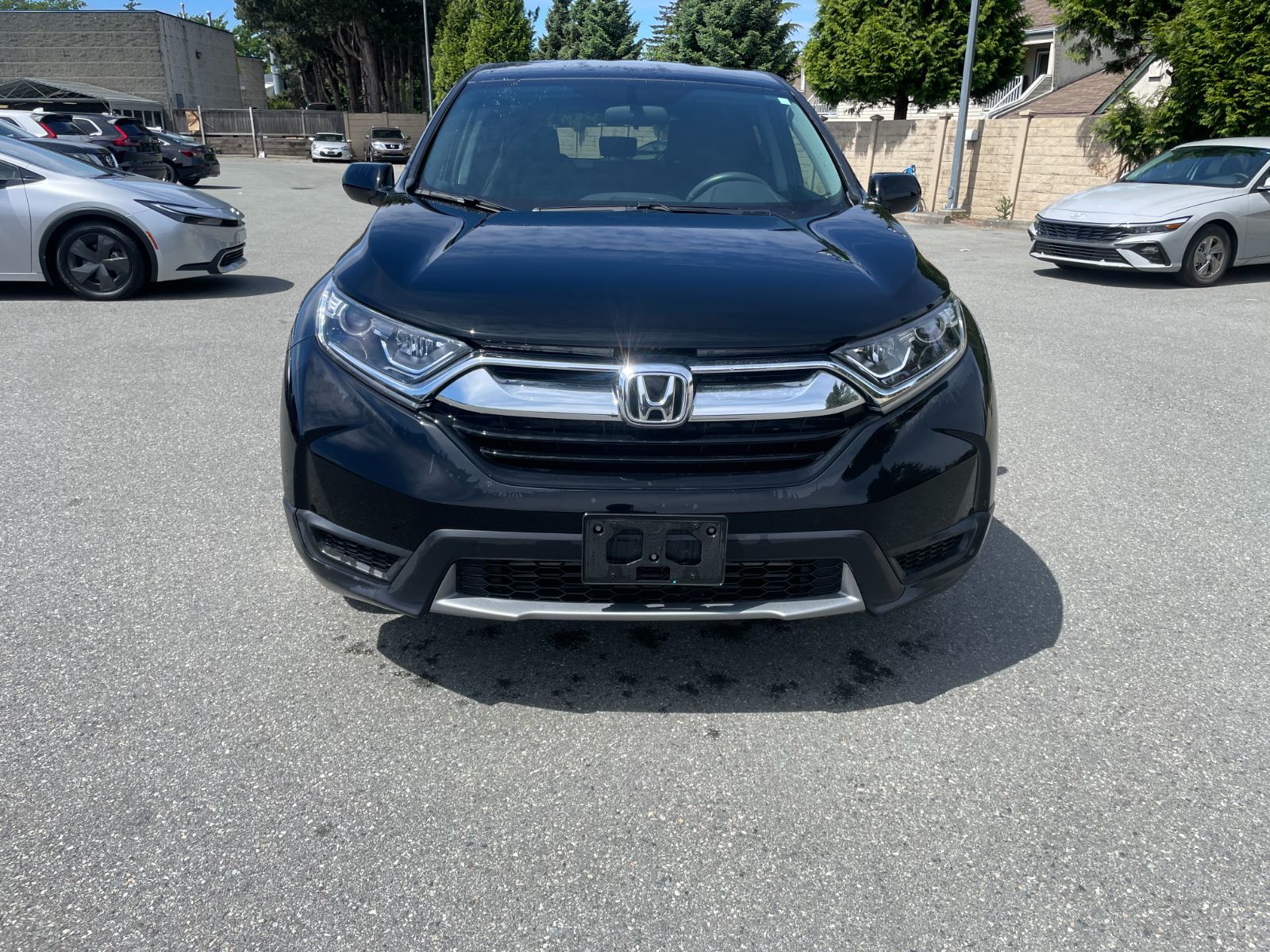 2019 Honda CR-V in Surrey, British Columbia