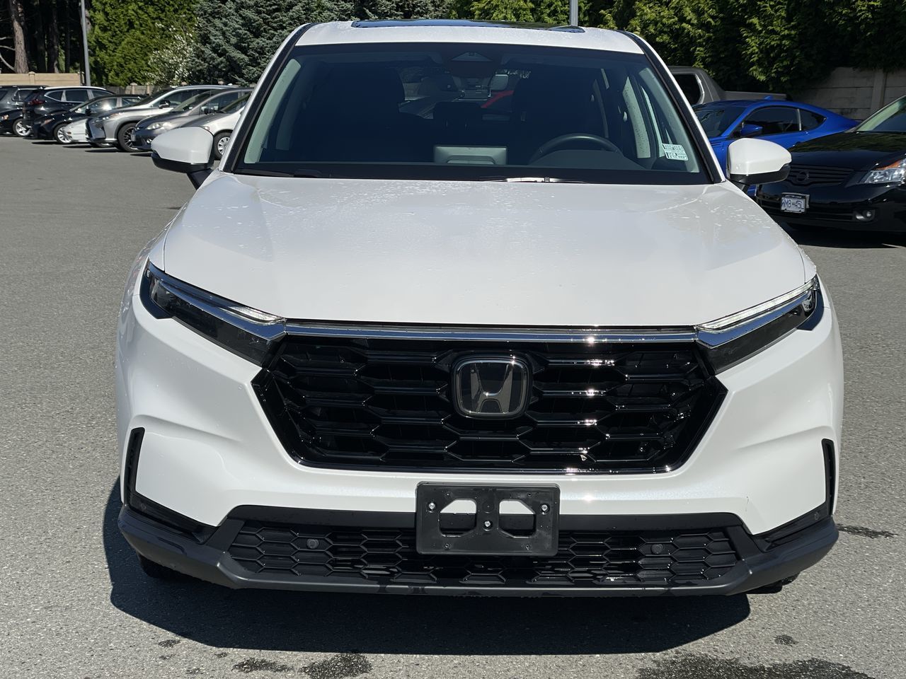 Honda CR-V  2023 à Surrey, Colombie-Britannique