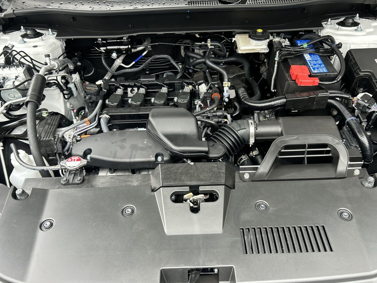 2025 Honda CR-V in Surrey, British Columbia