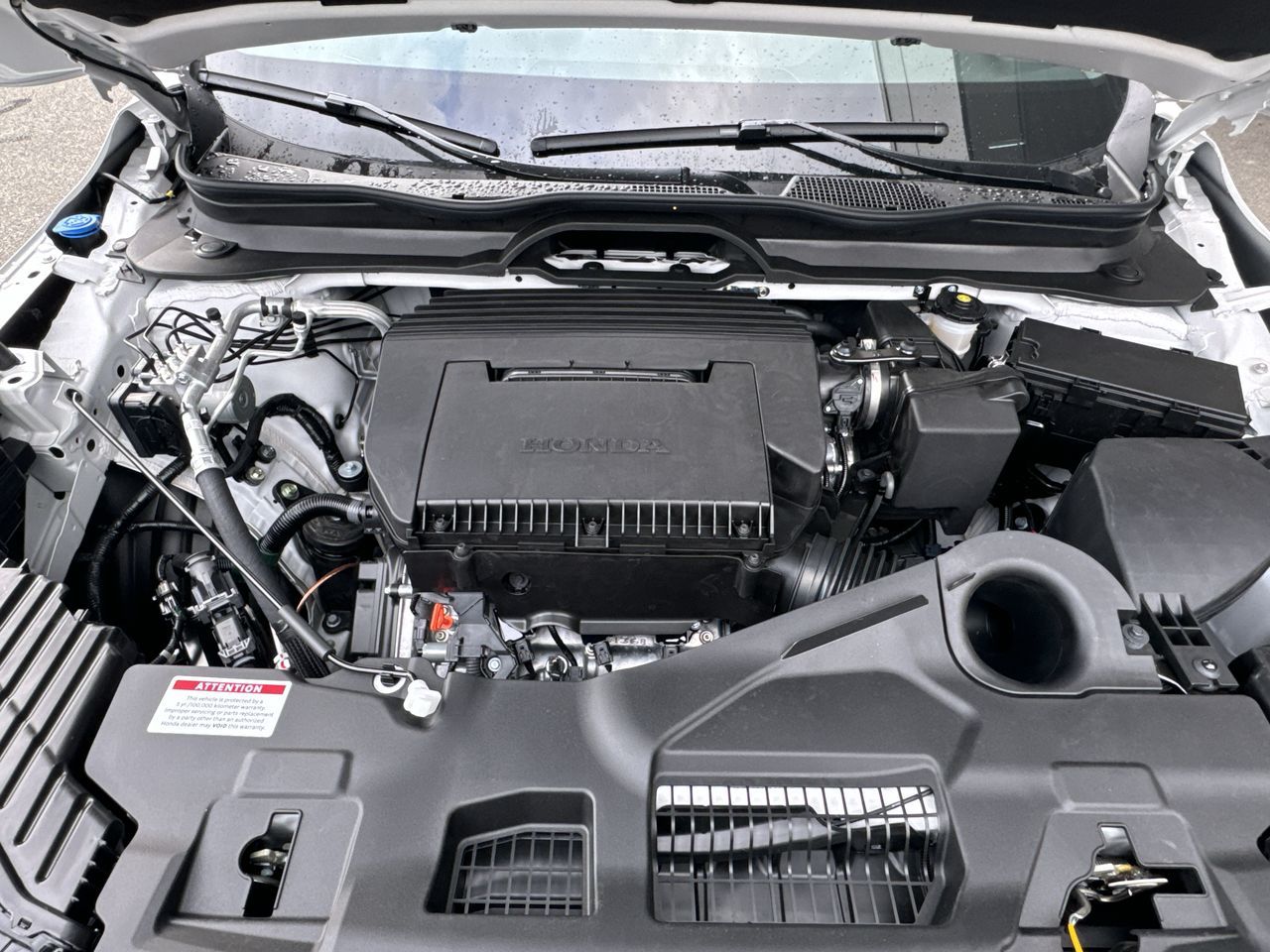 2025 Honda Pilot in Surrey, British Columbia