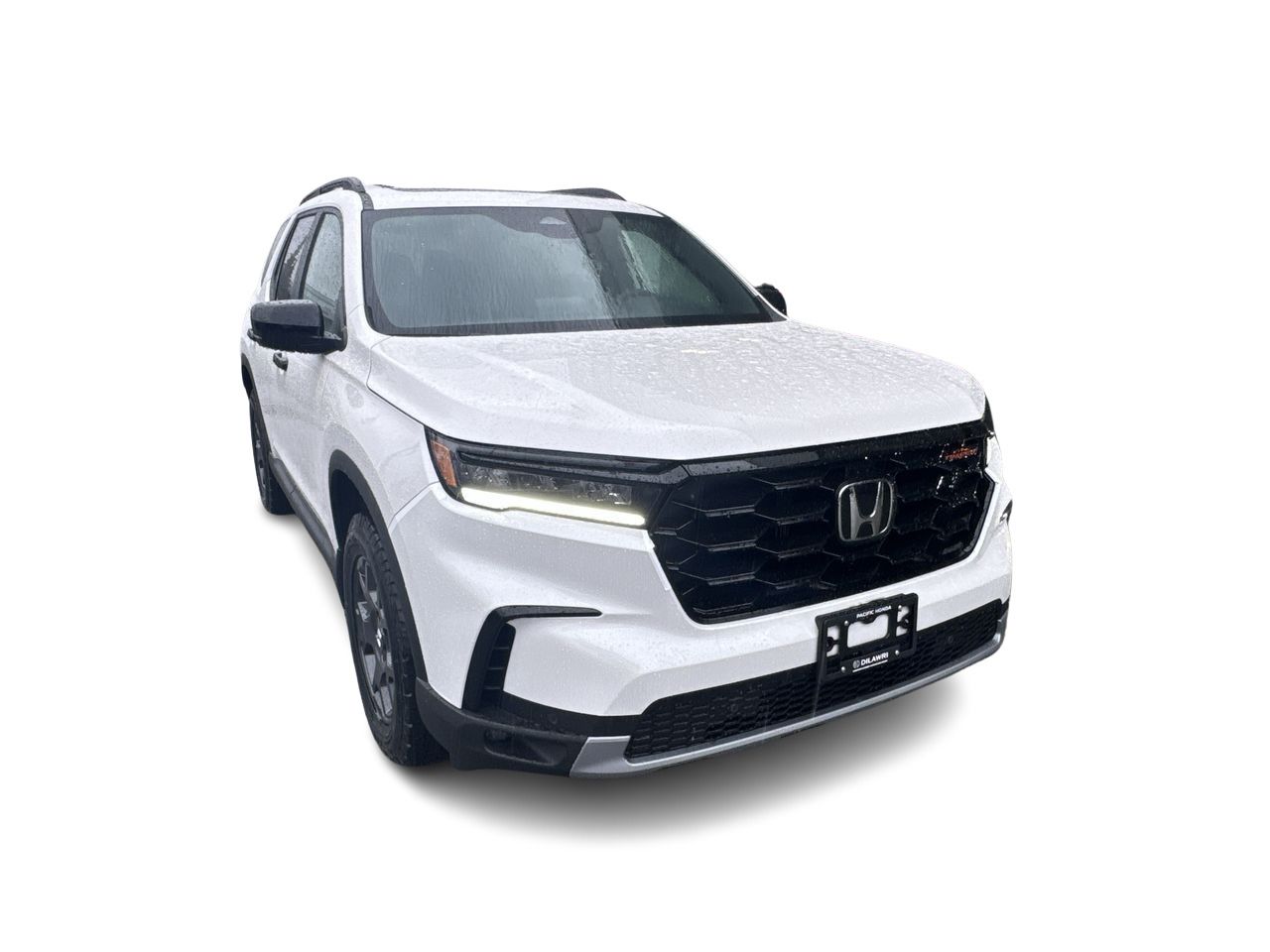 2025 Honda Pilot in Surrey, British Columbia
