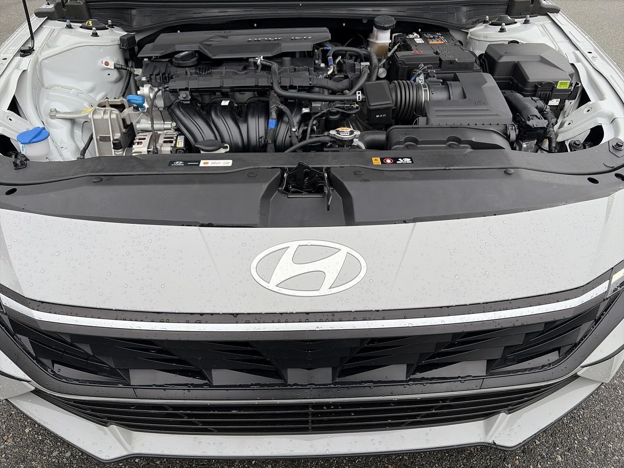 2025 Hyundai Elantra