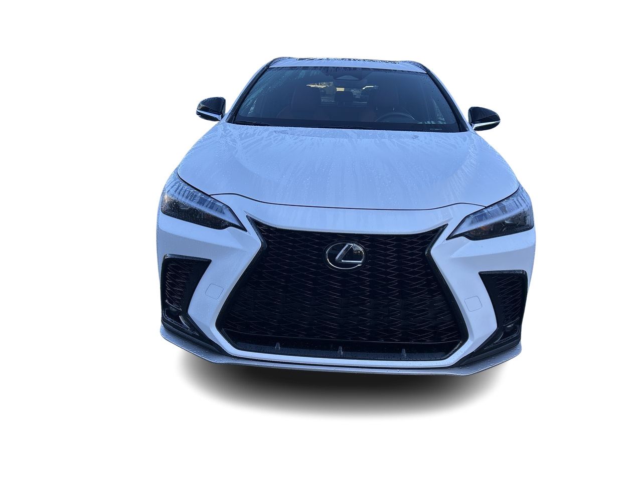 2024  NX