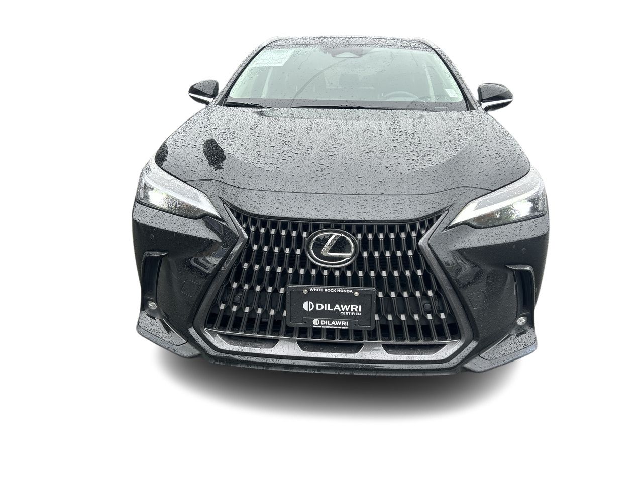 2022 Lexus NXh