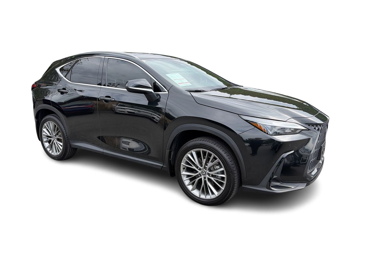 2024 Lexus NXh