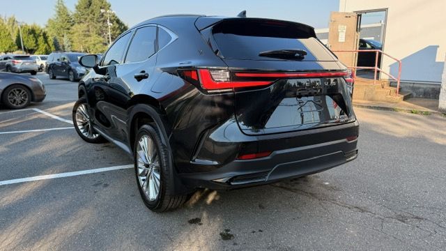 2024 Lexus NXh