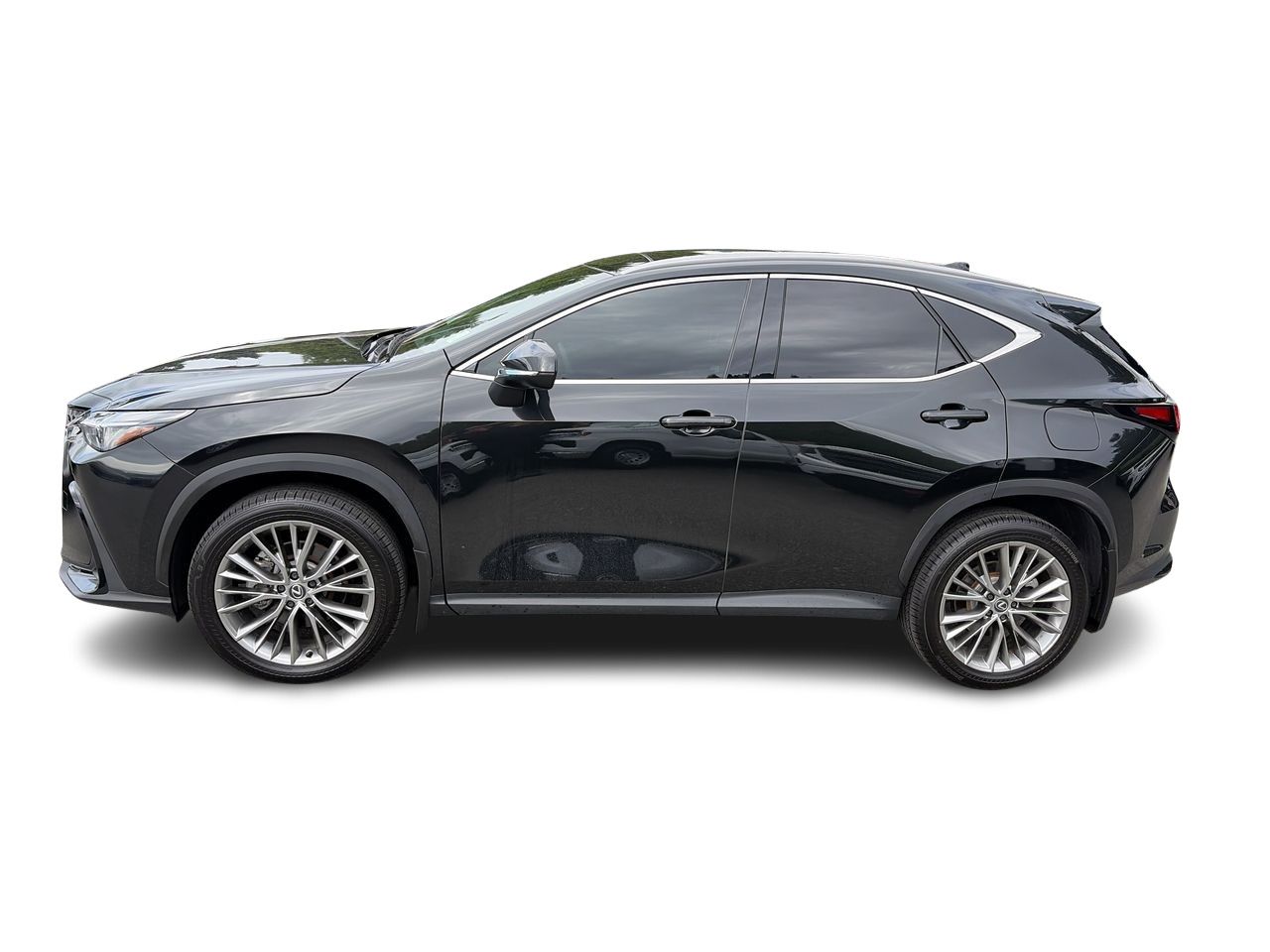 2024 Lexus NXh