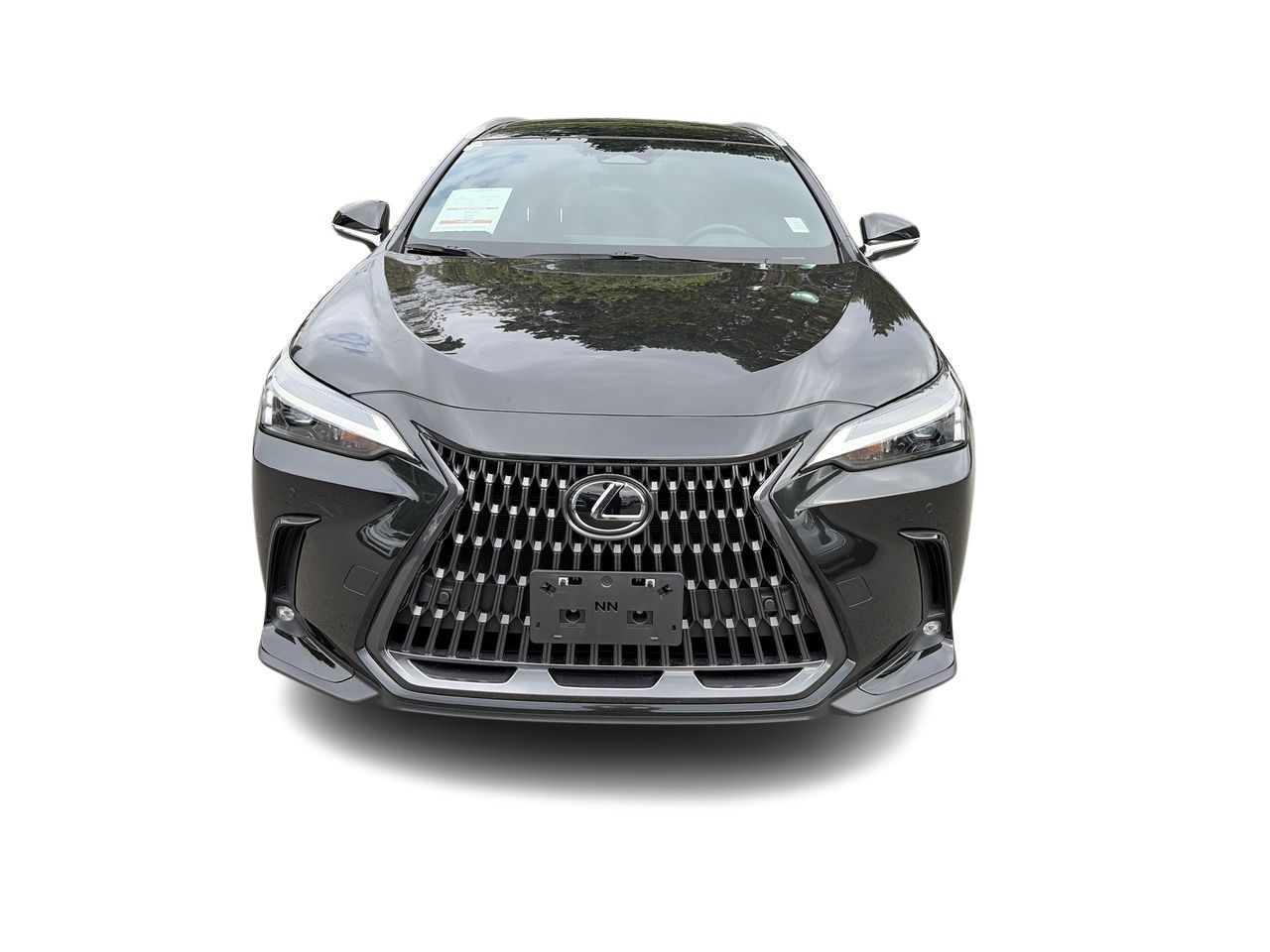 2024 Lexus NXh