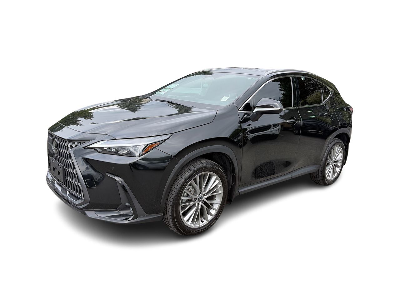 2024 Lexus NXh