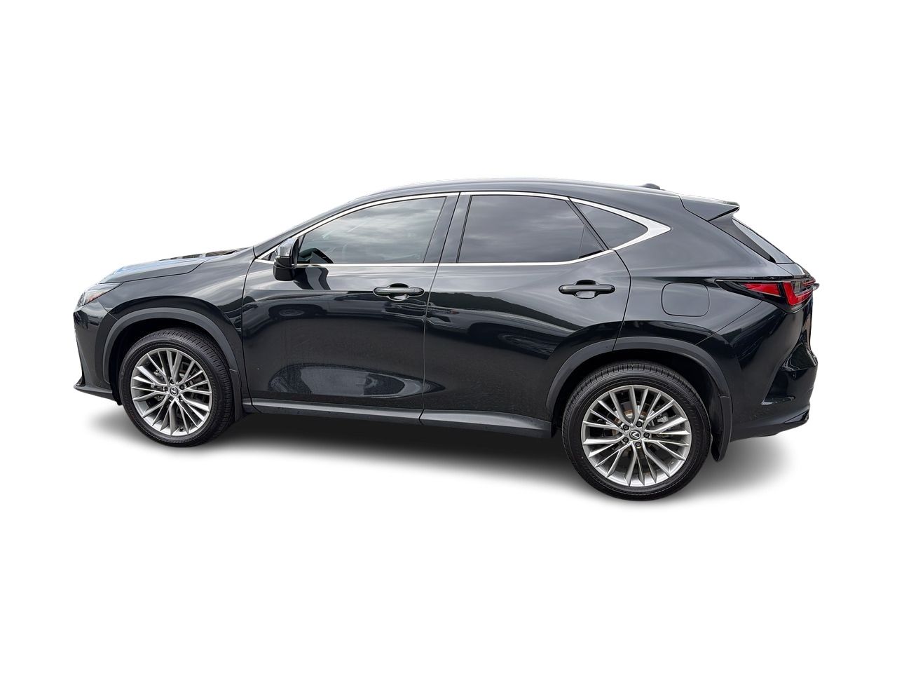 2024 Lexus NXh