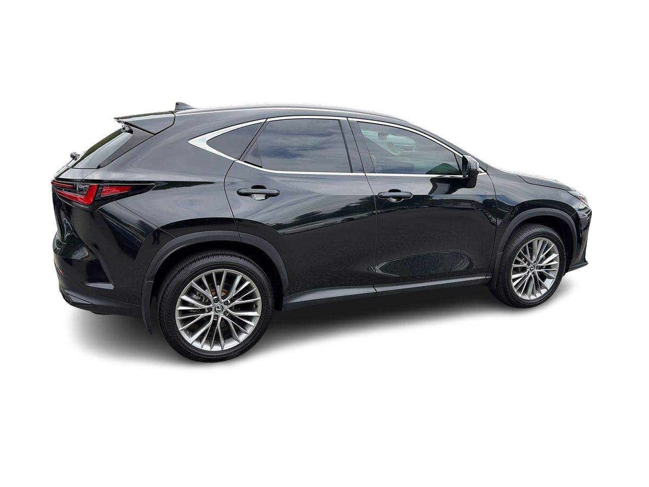 2024 Lexus NXh