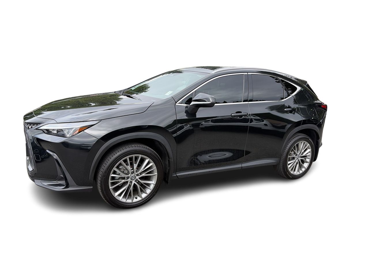 2024 Lexus NXh