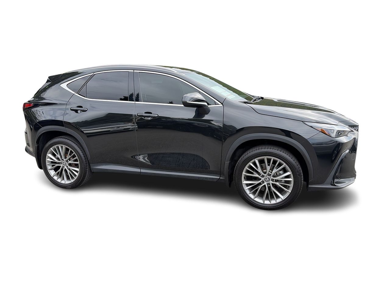 2024 Lexus NXh