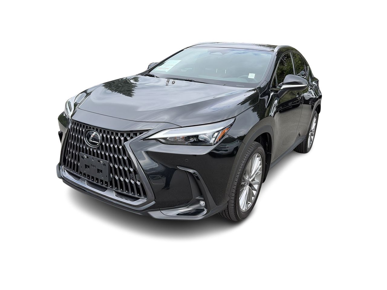 2024 Lexus NXh
