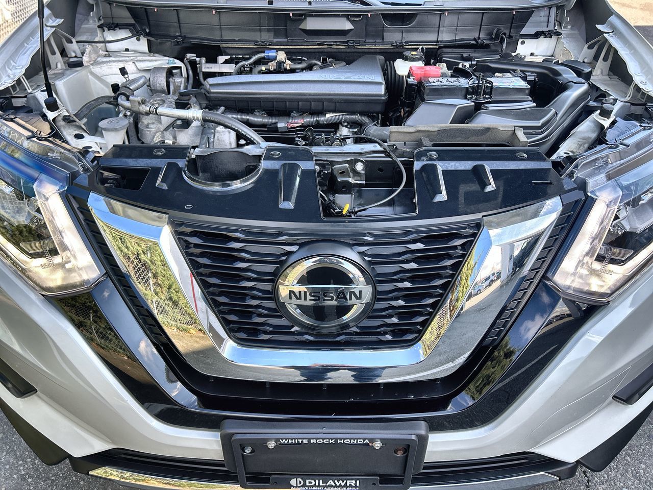 2020  Rogue