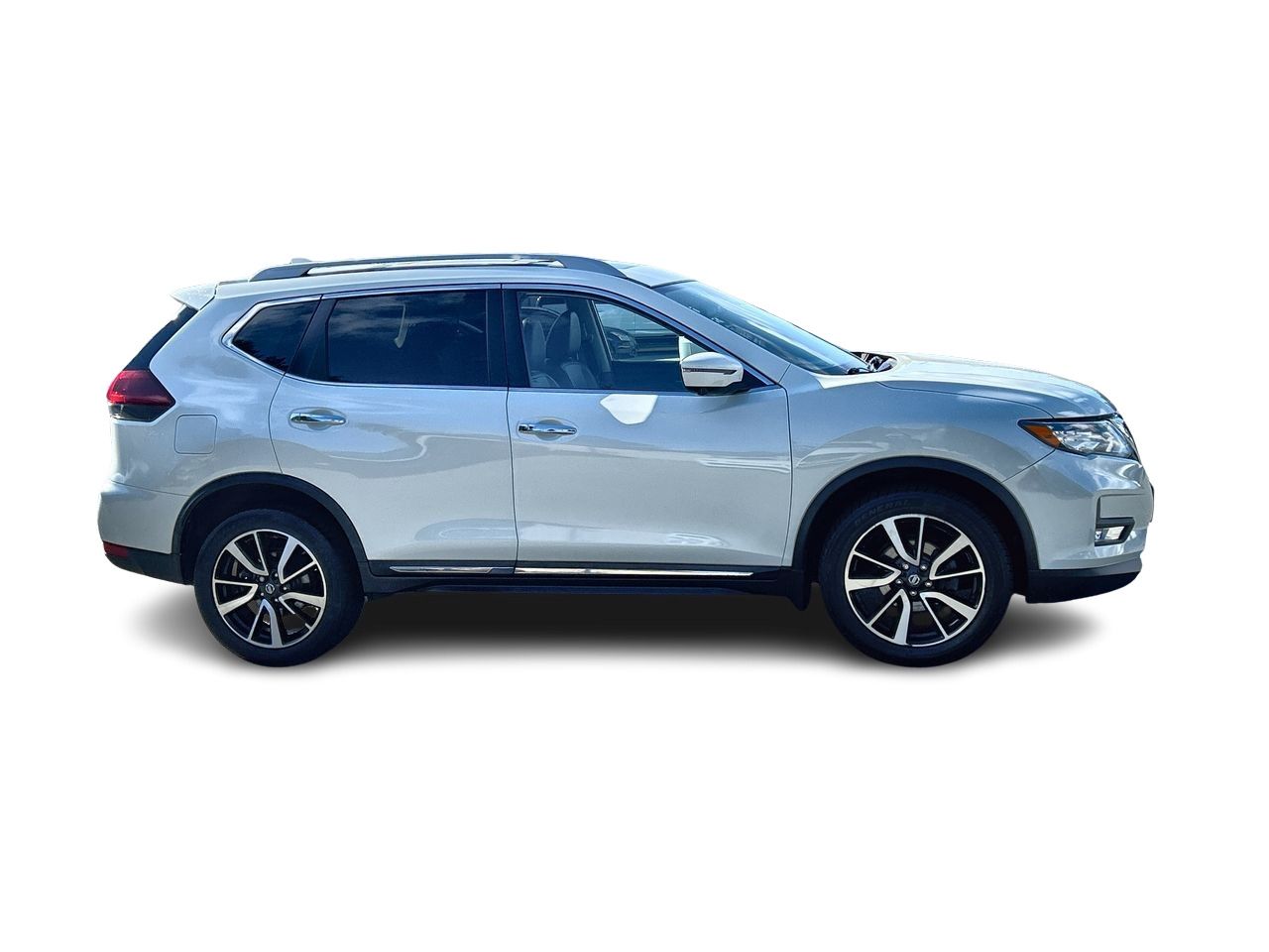 2020  Rogue
