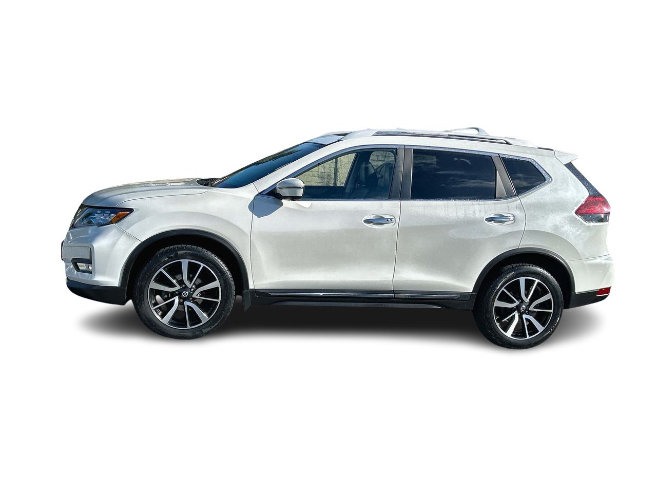 2020  Rogue