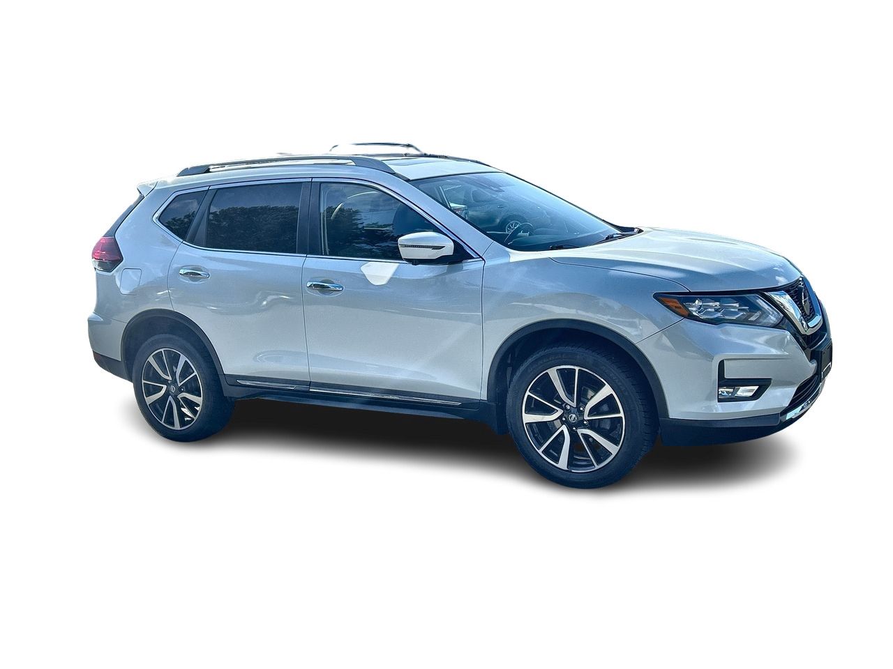 2020  Rogue
