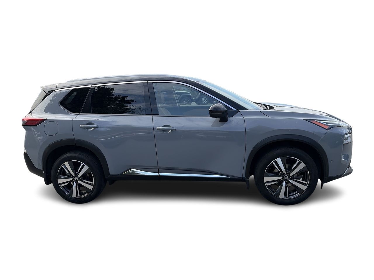 2021  Rogue