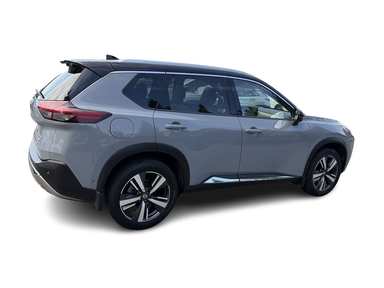 2021  Rogue