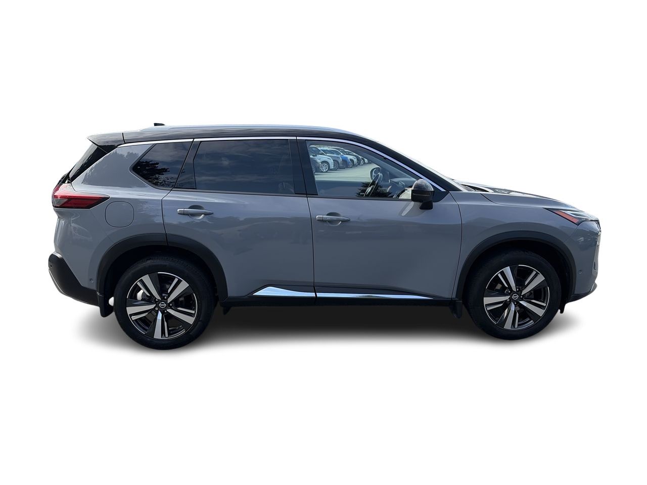 2021  Rogue