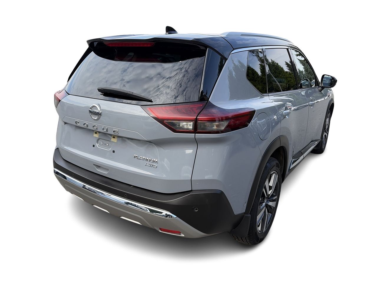 2021  Rogue