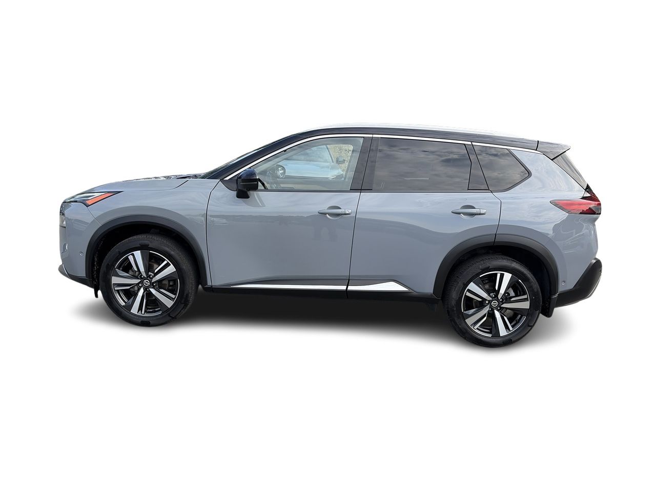 2021  Rogue