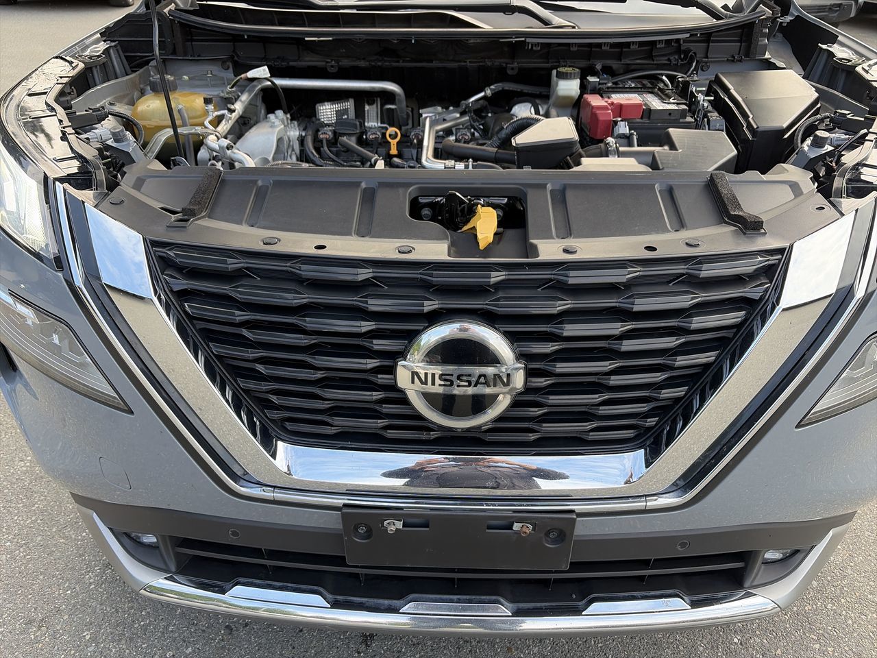 2021  Rogue