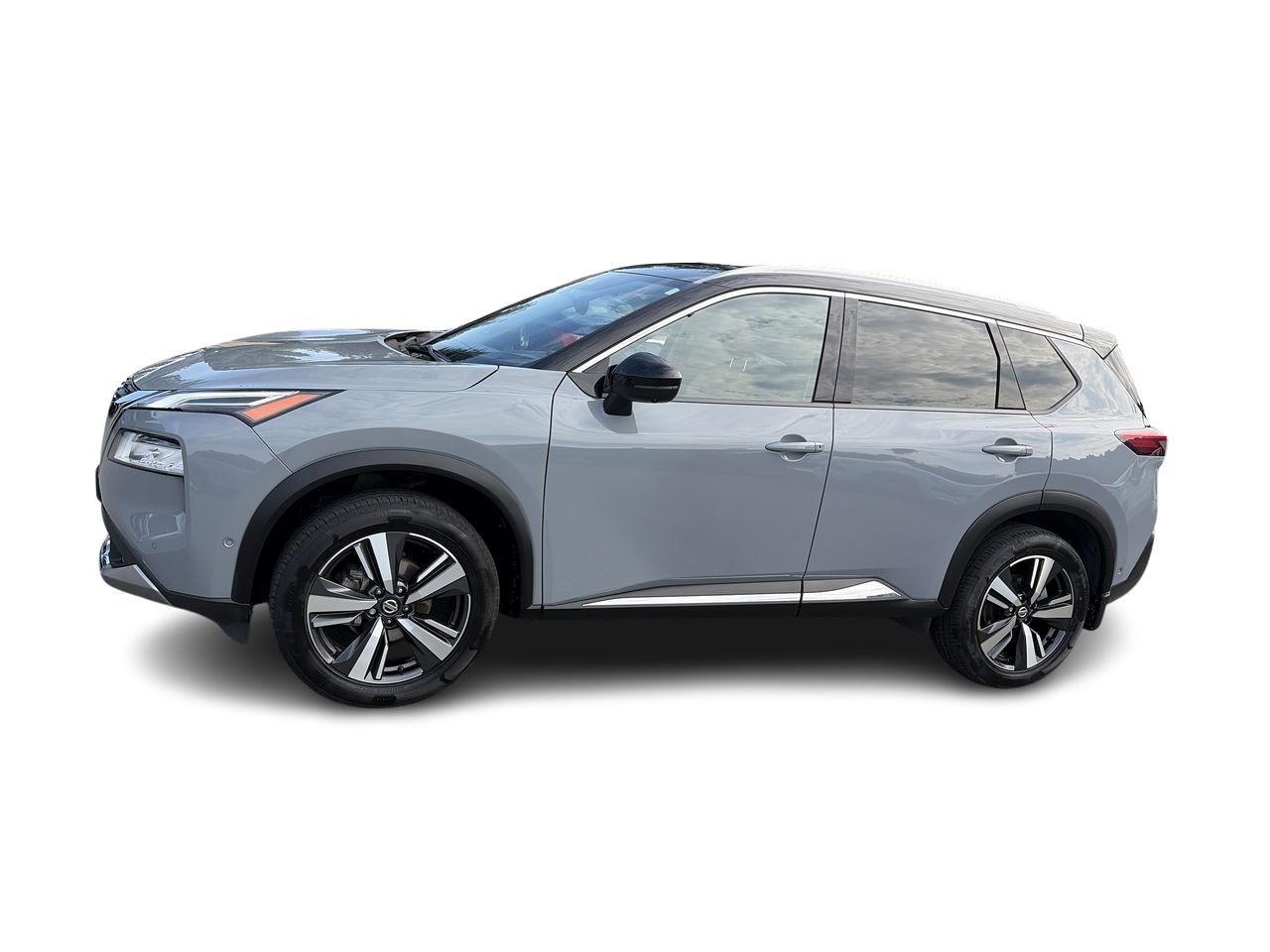 2021  Rogue