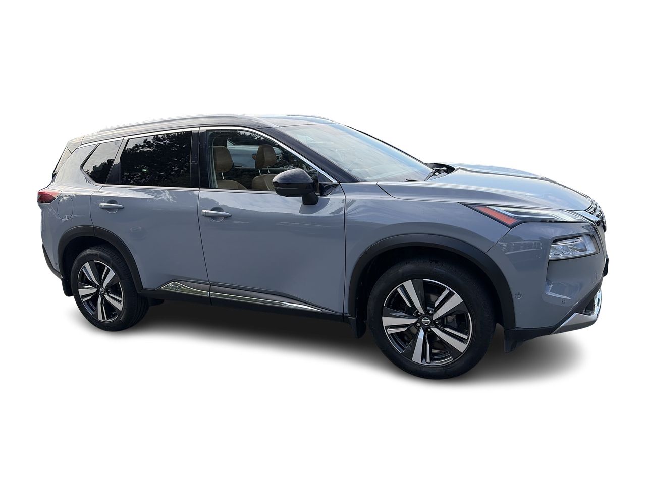 2021  Rogue