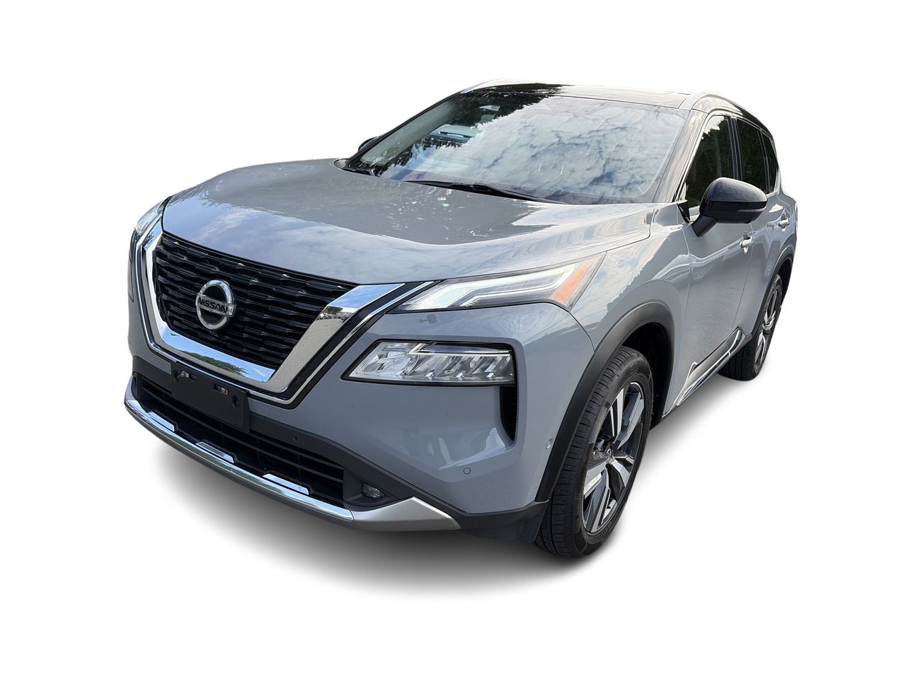 2021  Rogue