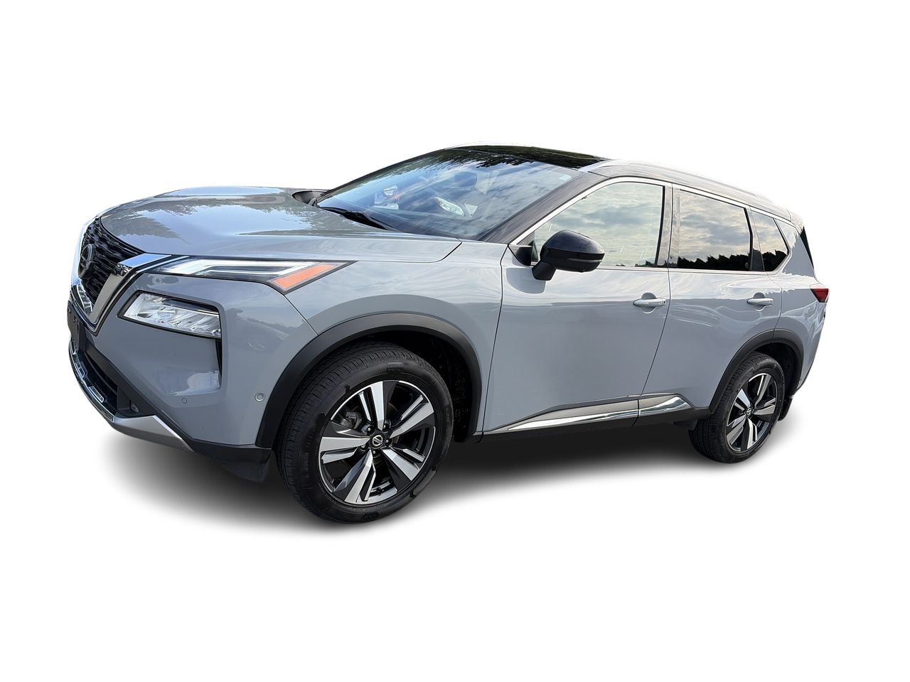 2021  Rogue