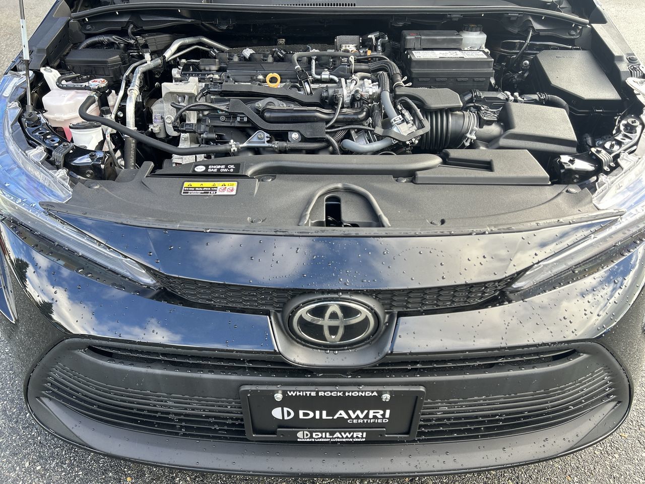 2023 Toyota COROLLA CE/LE/S