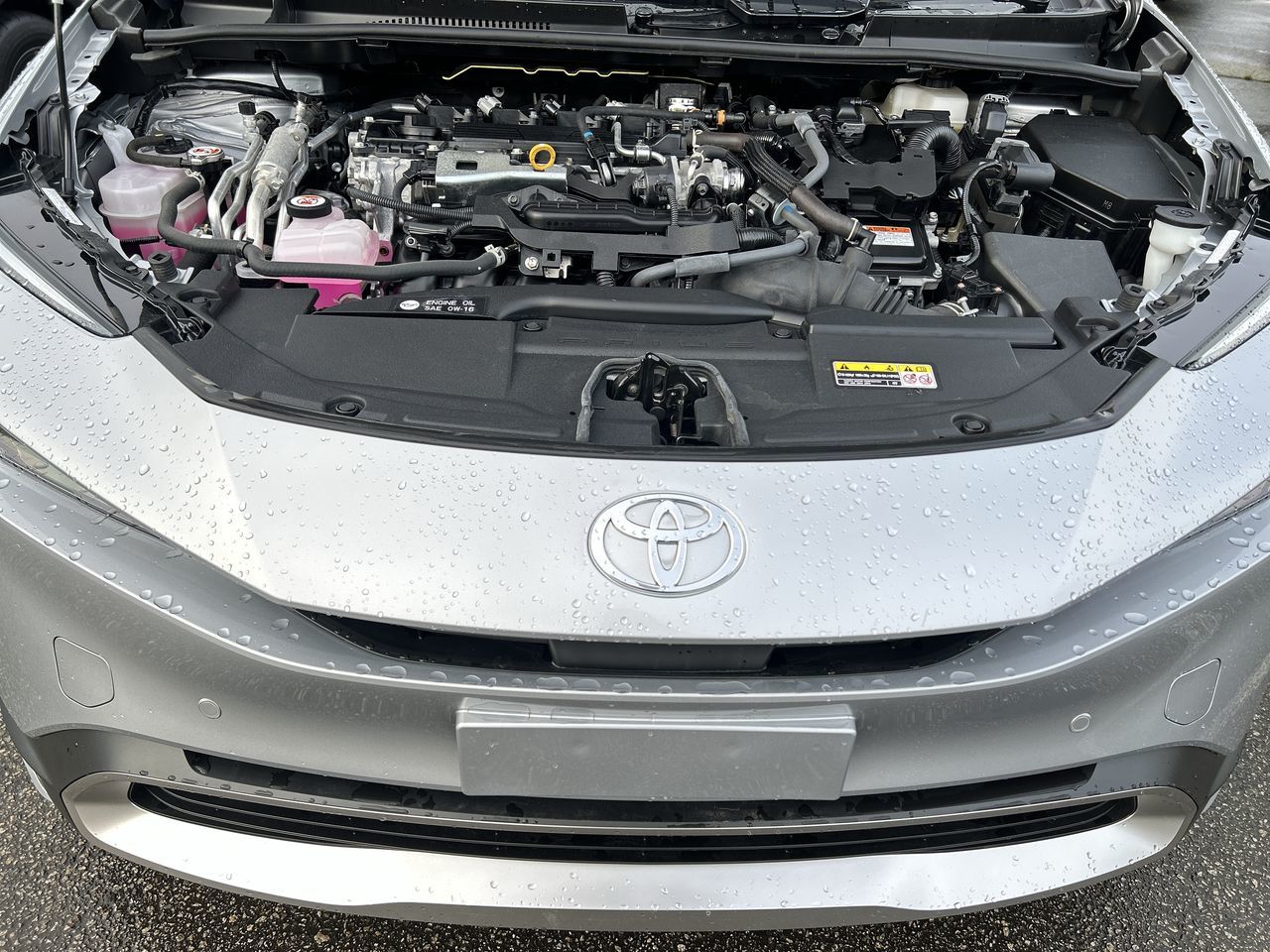 2024  Prius Plug-in Hybrid