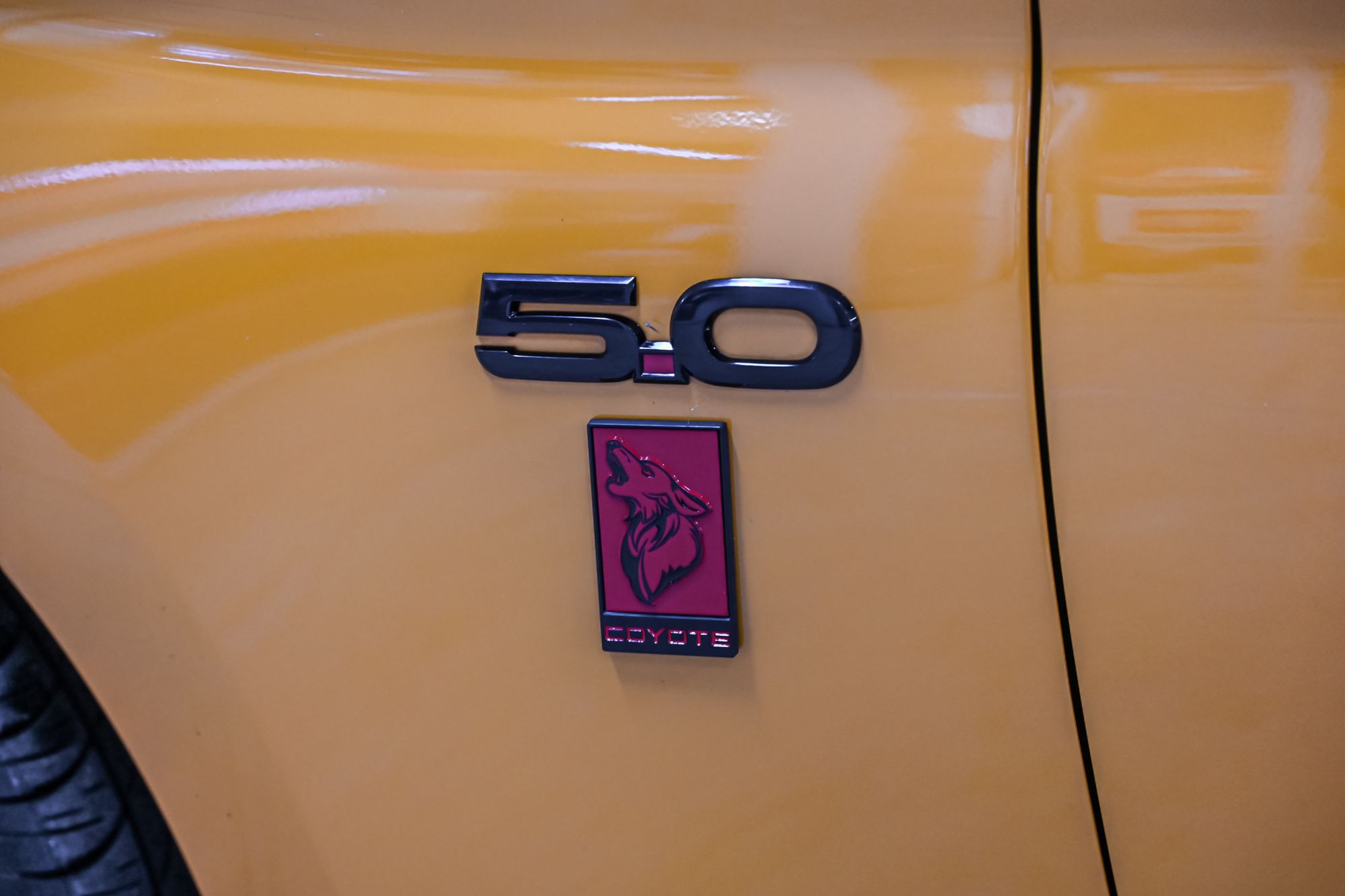 2019 Ford Mustang