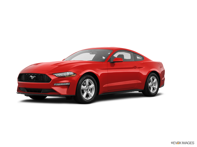 Ford Mustang Coupe Ecoboost 2019 Deragon Ford In