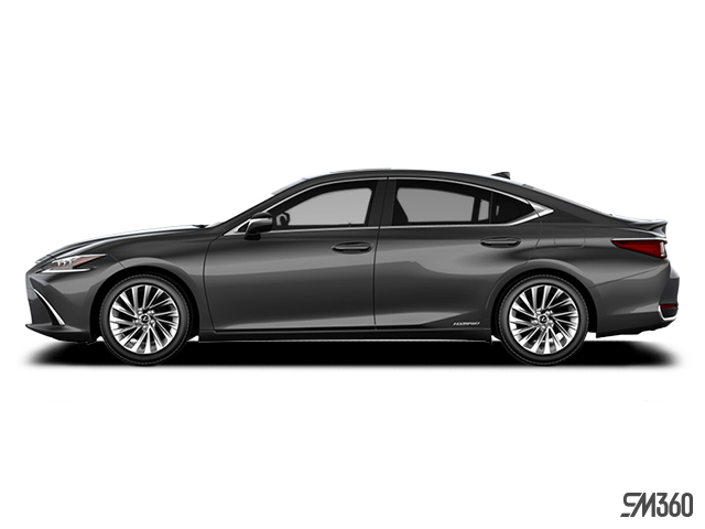 Gray (Nebula Grey Pearl) 2019 Lexus ES Hybrid 300h FWD Sedan Front-Wheel Drive
