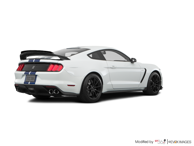 Violette Ford Grand Falls | The 2020 Mustang Shelby GT350