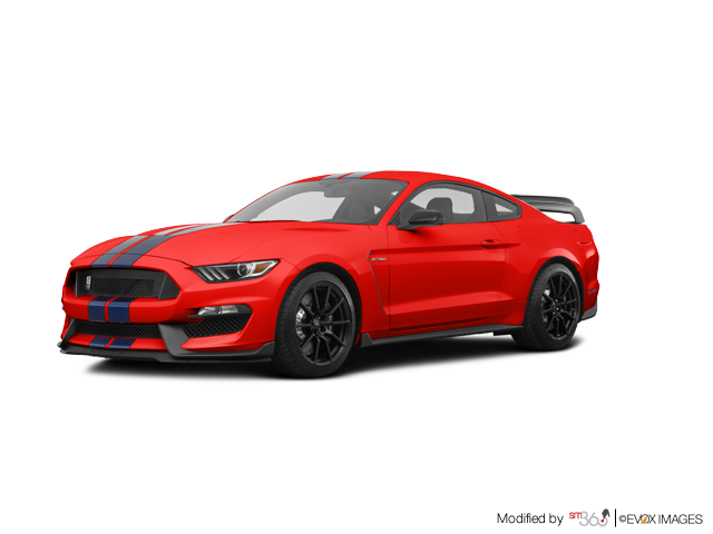 Violette Ford Grand Falls | The 2020 Mustang Shelby GT350